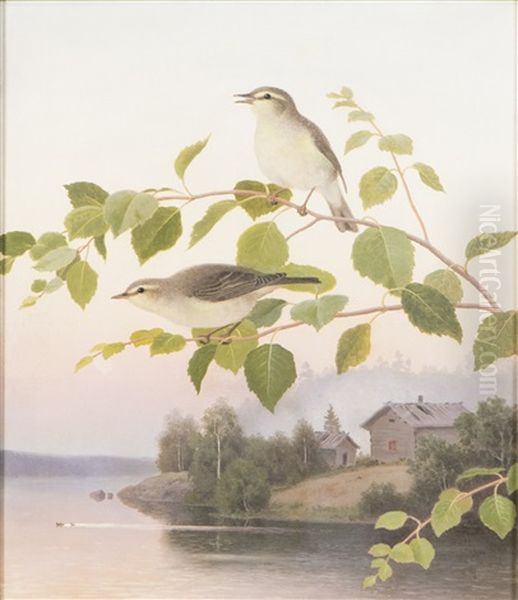 Willow Warbler Oil Painting by Ferdinand von Wright