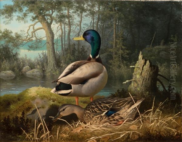 Ducks Oil Painting by Ferdinand von Wright