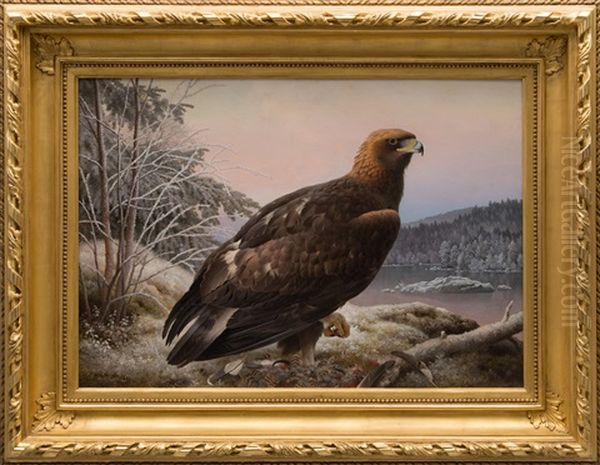 Eagle Oil Painting by Ferdinand von Wright