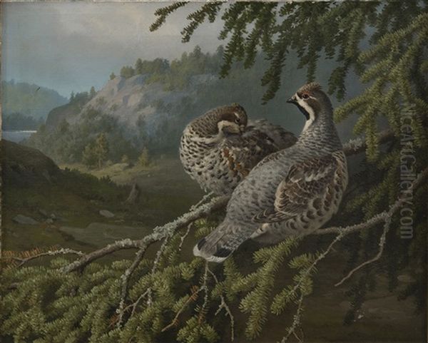 Hazel Grouses In The Forest Oil Painting by Ferdinand von Wright