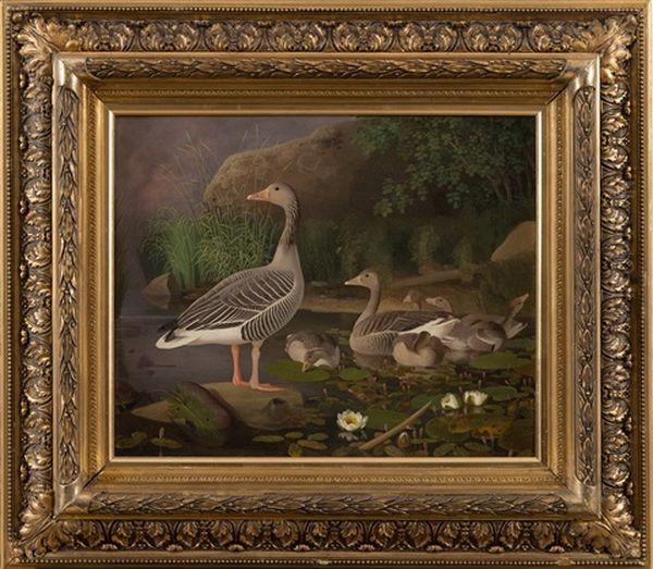 Greylag Geese With Chicks Oil Painting by Ferdinand von Wright