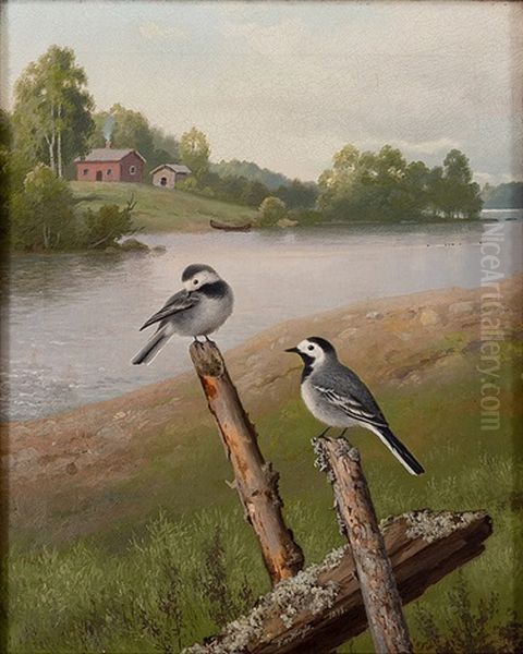 White Wagtails Oil Painting by Ferdinand von Wright