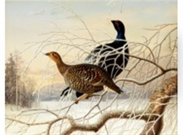 Wood Grouse Couple Oil Painting by Ferdinand von Wright