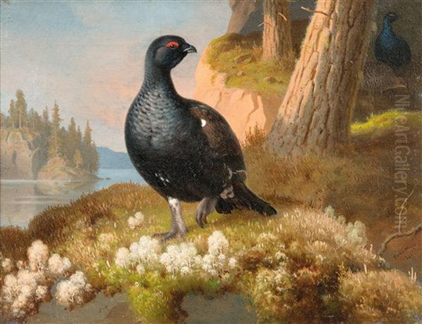 Black Grouses Oil Painting by Ferdinand von Wright