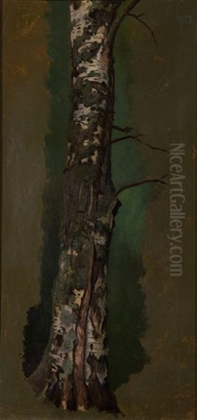 Birch Trunk Oil Painting by Ferdinand von Wright