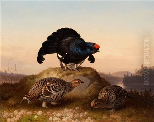 Blackgrouses Oil Painting by Ferdinand von Wright