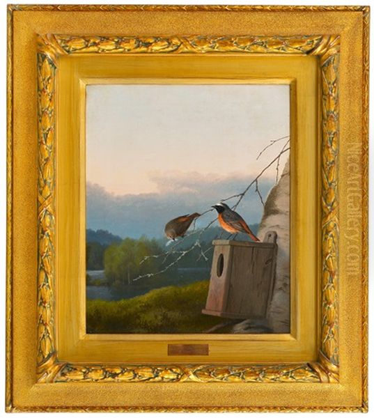 Redstarts At The Nest Oil Painting by Ferdinand von Wright