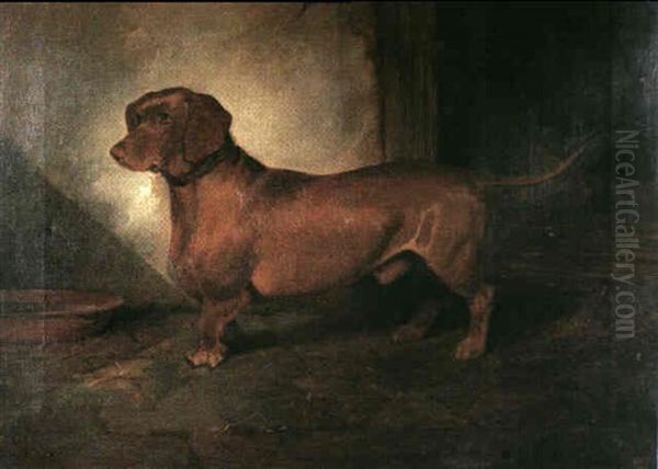 A Dachshund Oil Painting by George Frederick Wright