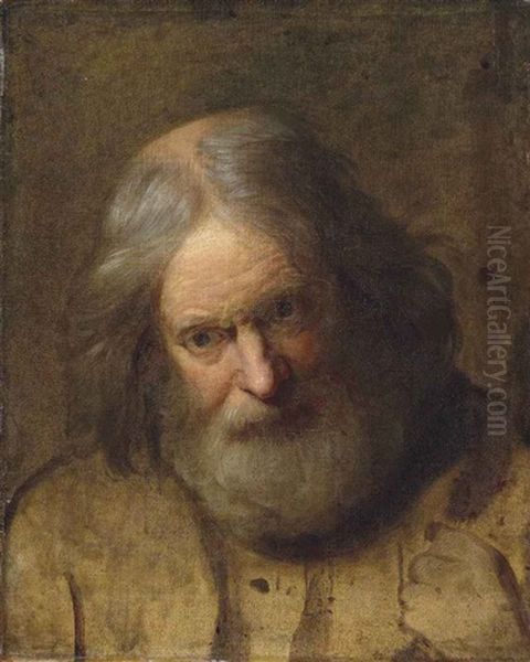 Head Study Of A Bearded Man Oil Painting by Joseph Wright