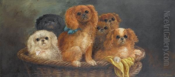 Puppies In A Basket: Cavalier King Charles Spaniels Oil Painting by James W. Brook