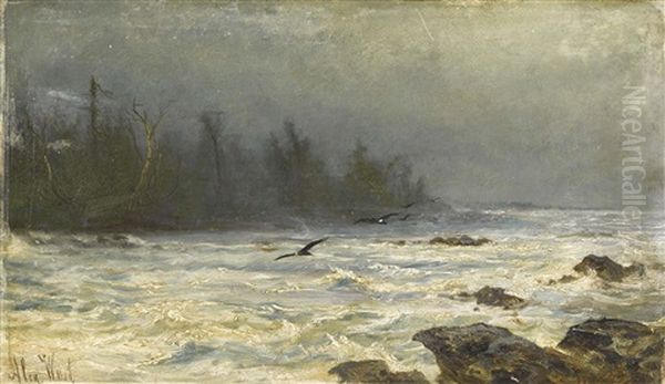 Meereskuste Oil Painting by Alexander Ferdinand Wust