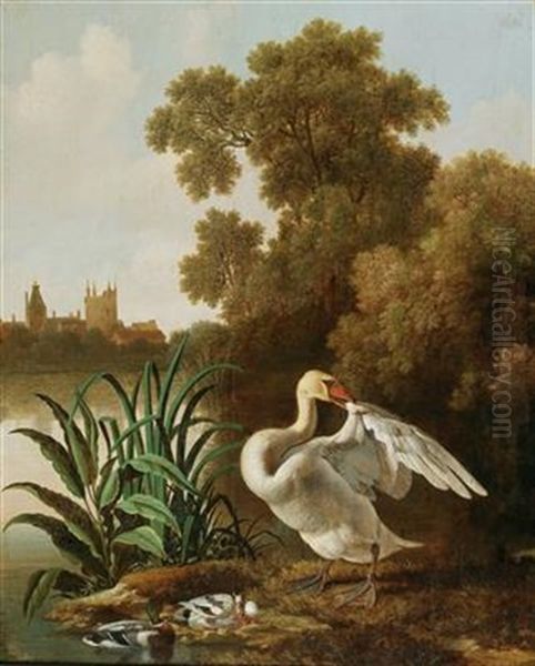 A Swan And Ducks At A River Oil Painting by Dirck Wyntrack