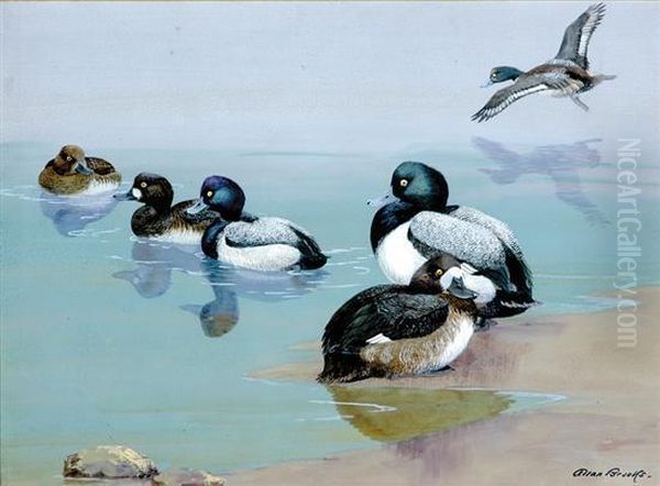 Ducks Oil Painting by Allan Brooks