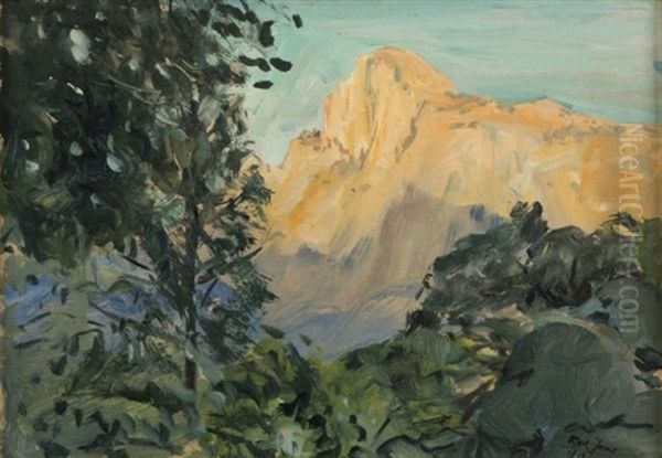 Mountain Shrubs Oil Painting by Karl Yens