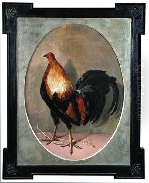 A Black Red Carlisle Old English Game Cock Oil Painting by Eliot Thomas Yorke