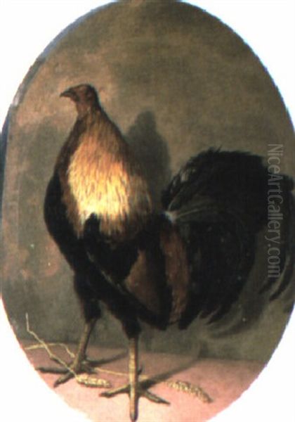 A Cockeral Oil Painting by Eliot Thomas Yorke