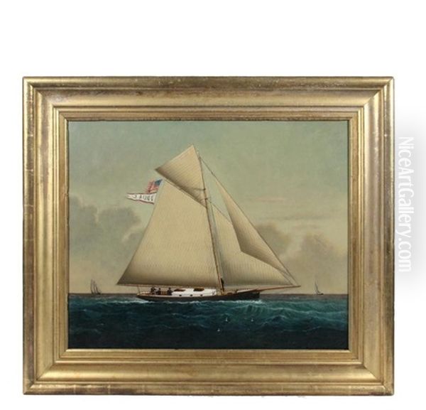 Gaff Rigged Sloop 