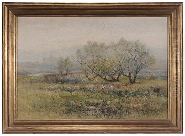 Spring In The Monument Creek, Colorado Springs, Colorado Oil Painting by Harvey Otis Young