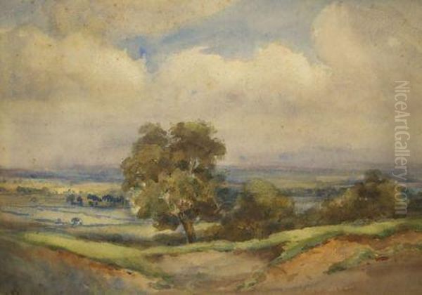 Open Landscape Oil Painting by Mary Mason Brooks