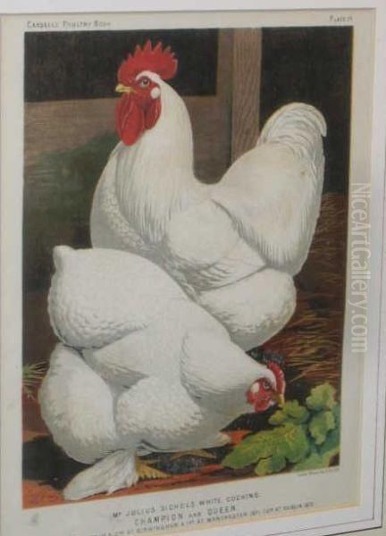 From Cassell's Poultry Book, 
Chickens Oil Painting by Vincent Brooks