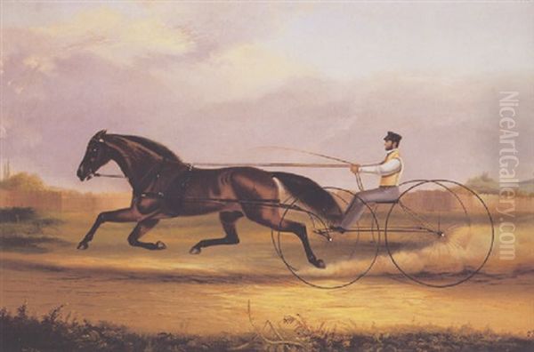 A Fast Trotter Oil Painting by Thomas K. Zandt