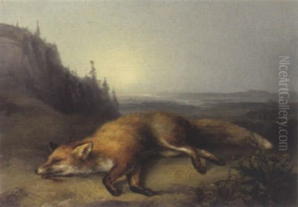 Erlegter Fuchs Mit Weiten Blick In Die Landschaft Oil Painting by Franz Zeller (Edler) von Zellenberg