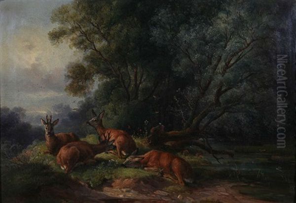 Sous-bois Anime De Quatre Cerfs Oil Painting by Friedrich Fritz Zeller