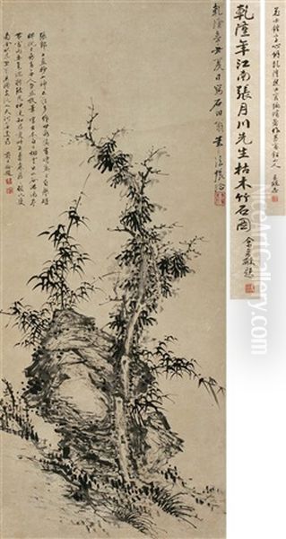 Bamboo And Rock Oil Painting by  Zhang Qia