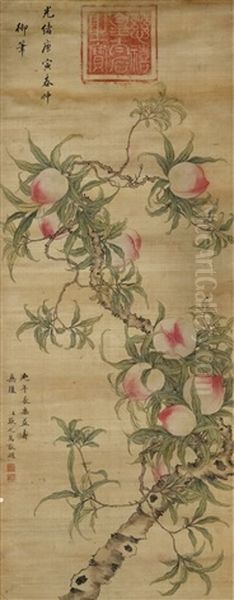 Peaches Of Longevity Oil Painting by  Zhang Zhiwan