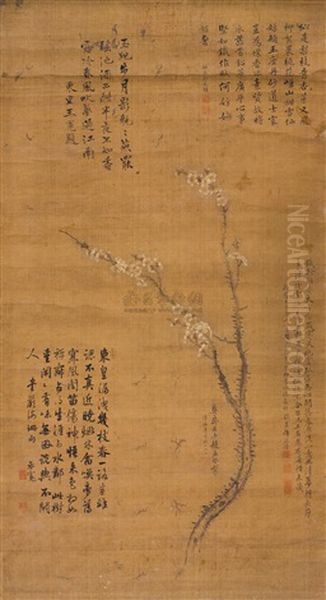 Plum Blossom Oil Painting by  Zhao Mengjian