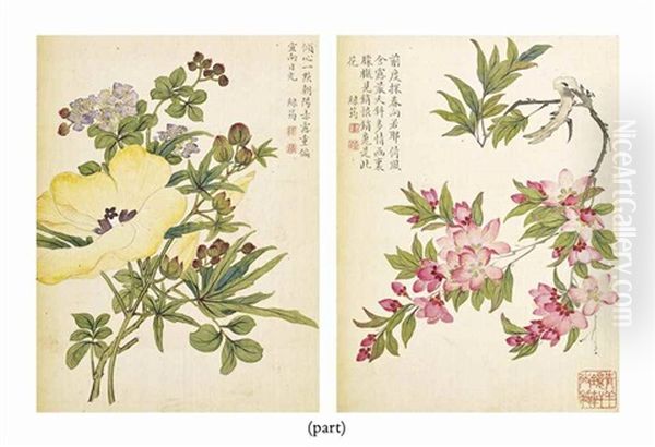 Album De Fleurs (8 Works) Oil Painting by  Zhu Lin