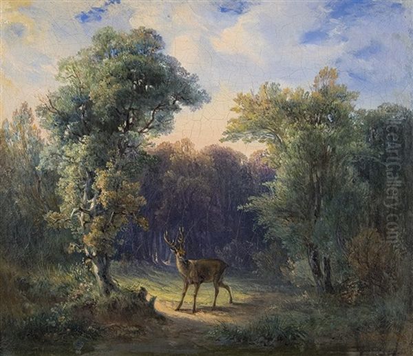 Hirsch Auf Der Lichtung Oil Painting by Gustav Zick