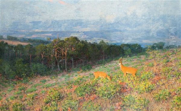 Rehe Auf Der Lichtung - Abendstimmung Oil Painting by Hugo Zieger