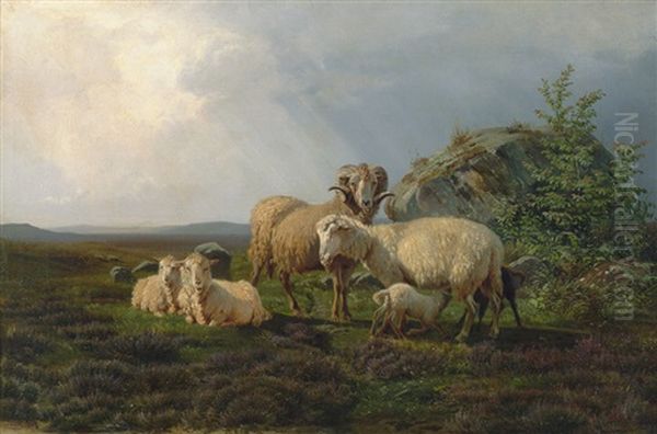 Schafe Auf Einer Heidewiese Bei Einem Findling Oil Painting by Vilhelm (Joh. V.) Zillen