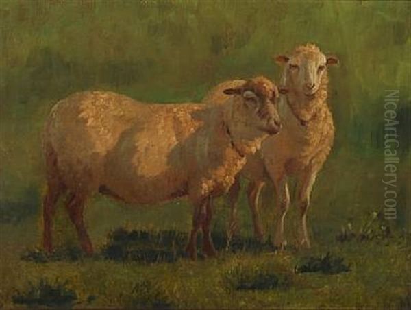 Two Sheep In The Field Oil Painting by Vilhelm (Joh. V.) Zillen