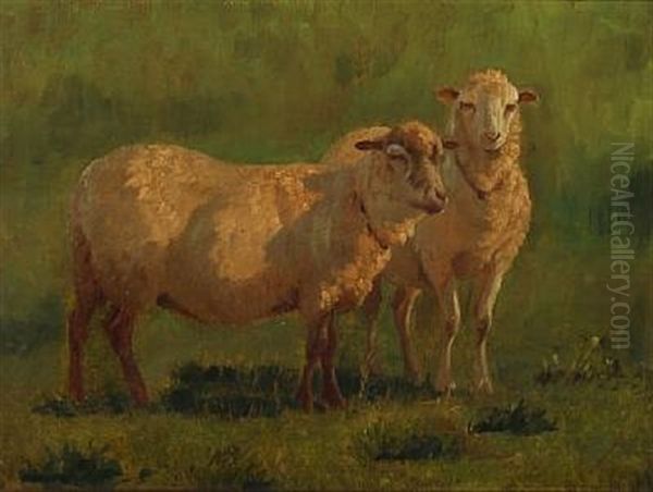 Two Sheep In The Field Oil Painting by Vilhelm (Joh. V.) Zillen