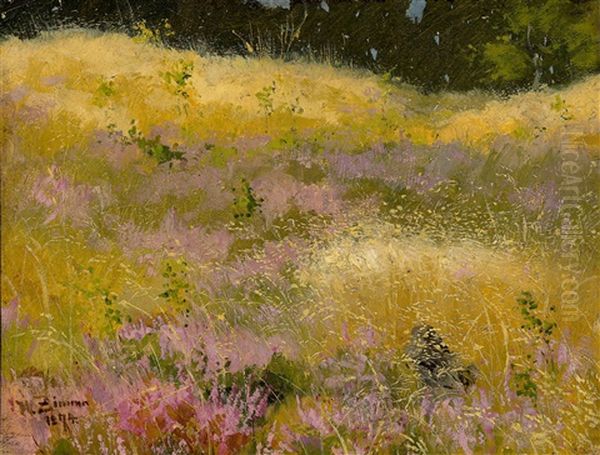 Meadow With Heather In Blossom Oil Painting by Wilhelm Carl August Zimmer