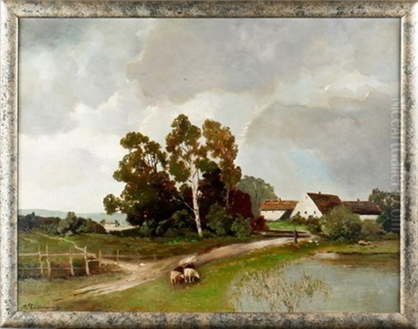 Dorfidylle Mit Weidenden Schafen Am Weiher Oil Painting by Alfred Zimmermann