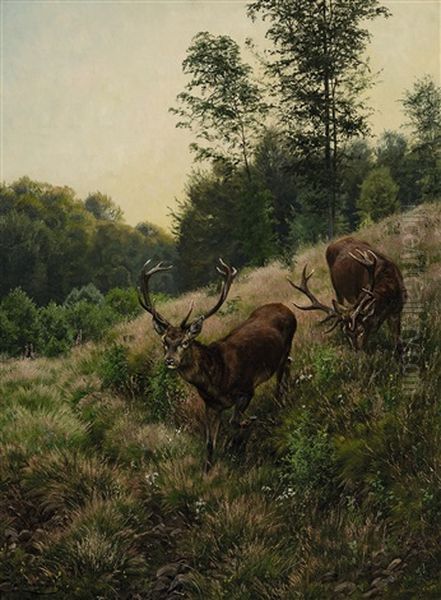 Feisthirsche Oil Painting by Carl Zimmermann