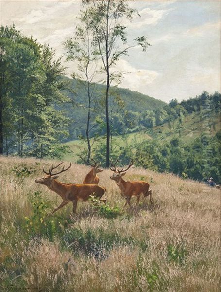 Hirschgruppe Auf Waldwiese Oil Painting by Carl Zimmermann