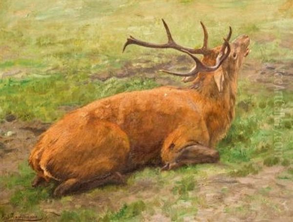 Liegender Hirsch Oil Painting by Carl Zimmermann