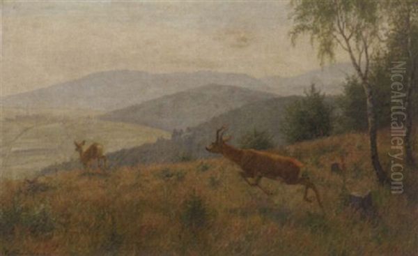 Deer In A Hilly Landscape Oil Painting by Carl Zimmermann