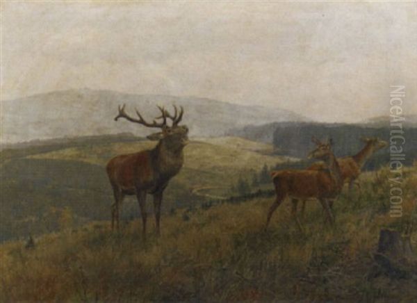 The Noble Stag Oil Painting by Carl Zimmermann