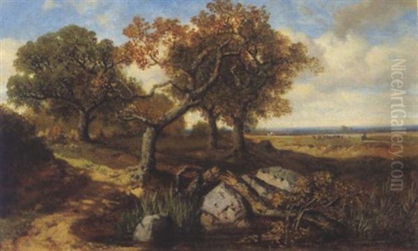 Sommerlandschaft Mit Alten Eichen An Einem Tumpel Oil Painting by Max Zimmermann