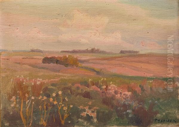 Summer Landscape Oil Painting by Teodor Ziomek