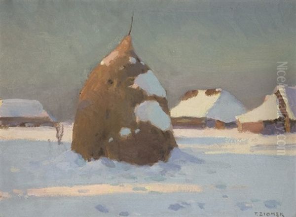 In Winter Sunshine Oil Painting by Teodor Ziomek