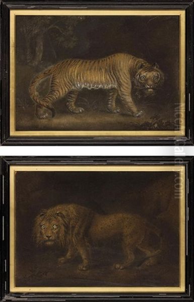 A Lion (+ A Tiger; 2 Works) Oil Painting by Benjamin Zobel