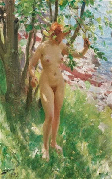 Skuggan Oil Painting by Anders Zorn