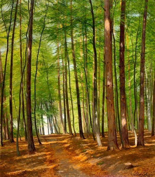 Waldweg In Der Dubener Heide Oil Painting by Emil Zschimmer