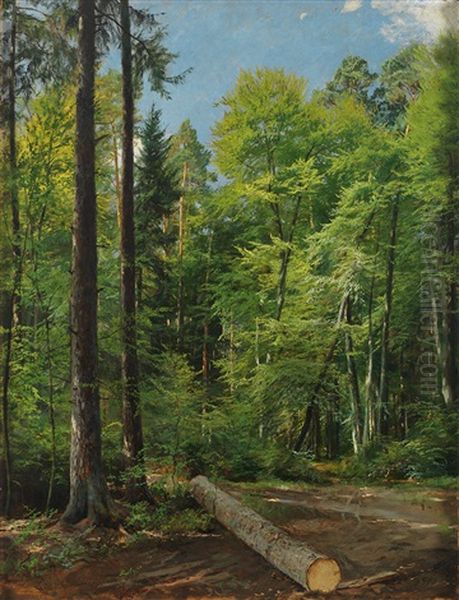 Waldinneres Oil Painting by Emil Zschimmer